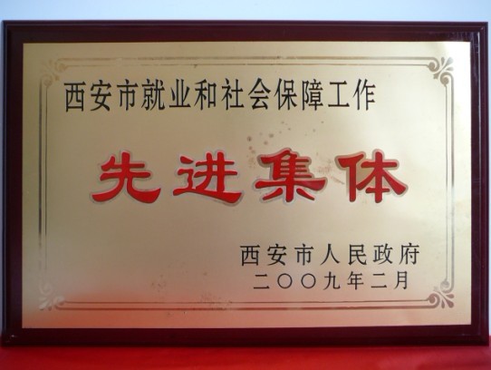 2009年2月，被西安市政府評為西安市就業(yè)和社會保障工作先進集體
