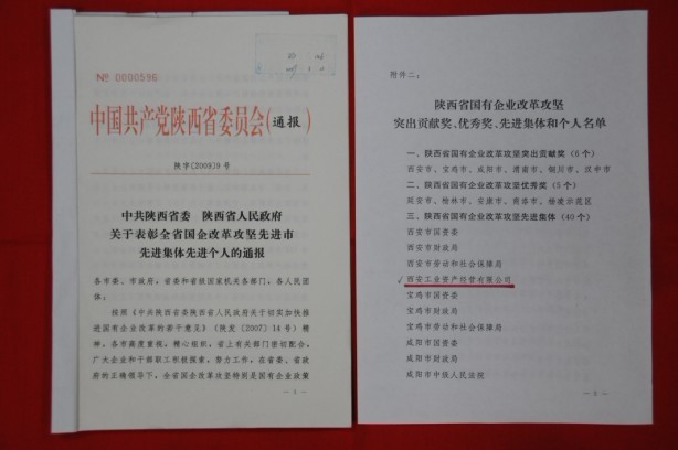 2009年2月，被陜西省委、省政府授予陜西省國有企業(yè)改革攻堅先進集體